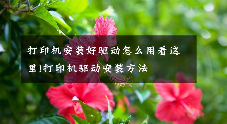 打印机安装好驱动怎么用看这里!打印机驱动安装方法文章配图
