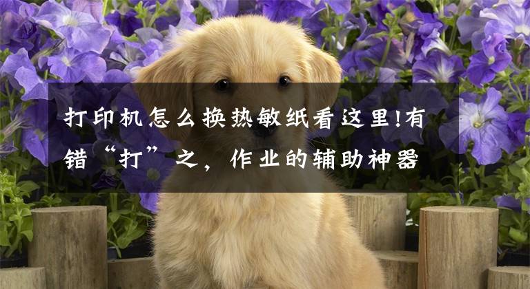 打印机怎么换热敏纸看这里!有错“打”之，作业的辅助神器，喵喵机家用学习打印机F1初体验文章配图