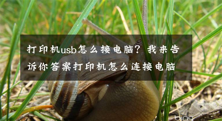 打印机usb怎么接电脑？我来告诉你答案打印机怎么连接电脑？文章配图