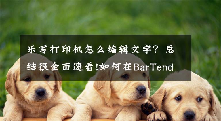 乐写打印机怎么编辑文字？总结很全面速看!如何在BarTender软件里编辑文字内容？BarTender新手必备一看就会文章配图