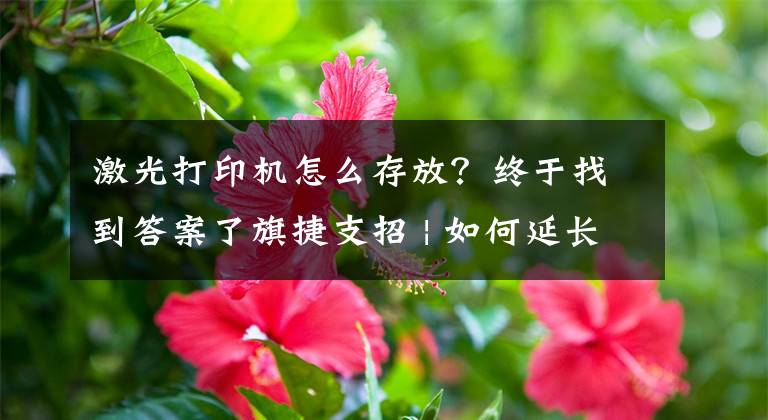 激光打印机怎么存放？终于找到答案了旗捷支招 | 如何延长打印机的使用寿命？文章配图