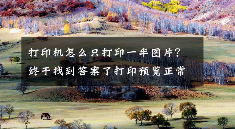 打印机怎么只打印一半图片？终于找到答案了打印预览正常但打印出来图片不完整，怎么办？一招教你解决文章配图
