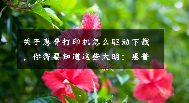 关于惠普打印机怎么驱动下载，你需要知道这些大明：惠普打印机安装详细教程，简单易学，值得收藏文章配图