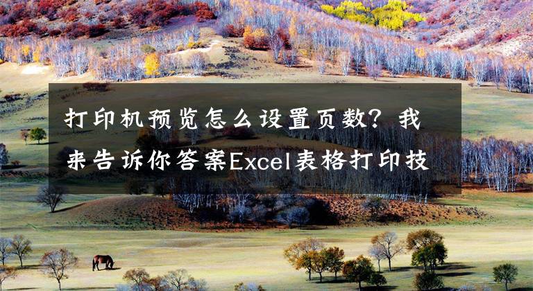 打印机预览怎么设置页数？我来告诉你答案Excel表格打印技巧，居中打印、缩放打印、打印表头、设置页码文章配图