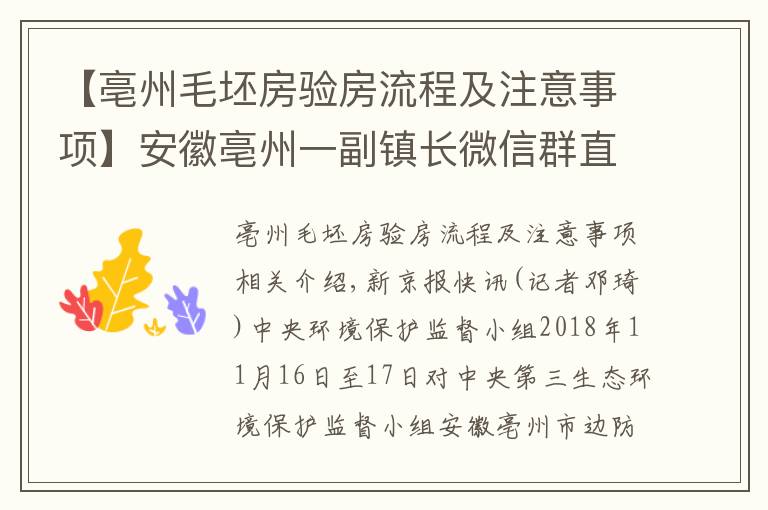 【亳州毛坯房验房流程及注意事项】安徽亳州一副镇长微信群直播环保督察 为企业放哨