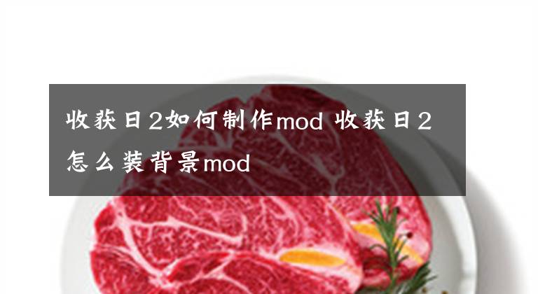 收获日2如何制作mod 收获日2怎么装背景mod