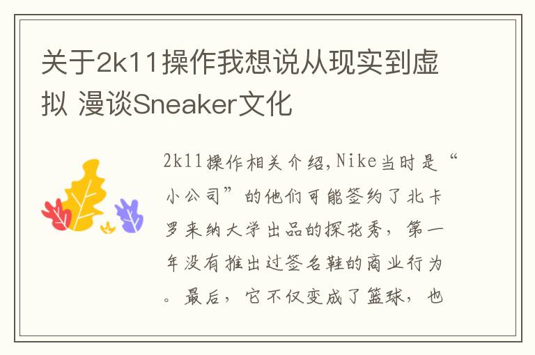 关于2k11操作我想说从现实到虚拟 漫谈Sneaker文化