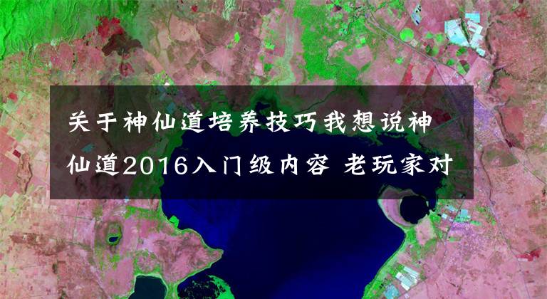 关于神仙道培养技巧我想说神仙道2016入门级内容 老玩家对于猎命的看法