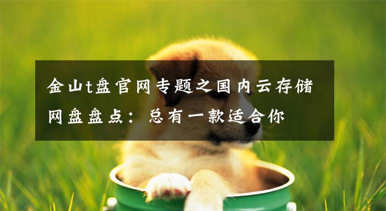 金山t盘官网专题之国内云存储网盘盘点：总有一款适合你