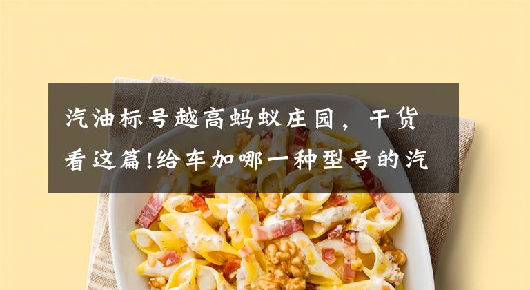 汽油标号越高蚂蚁庄园，干货看这篇!给车加哪一种型号的汽油取决于汽车什么？5月23日蚂蚁庄园小知识