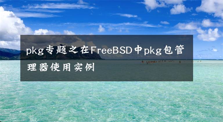 pkg专题之在FreeBSD中pkg包管理器使用实例