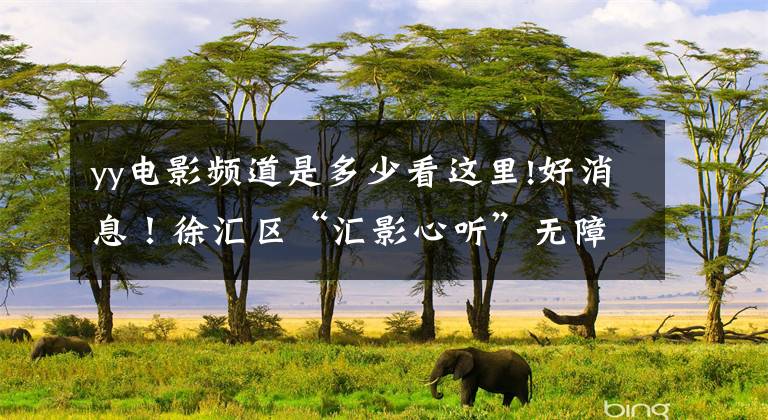 yy电影频道是多少看这里!好消息！徐汇区“汇影心听”无障碍电影线上沙龙即将开始啦文章配图