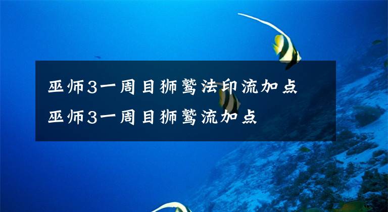 巫师3一周目狮鹫法印流加点 巫师3一周目狮鹫流加点