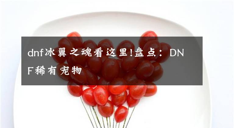 dnf冰翼之魂看这里!盘点：DNF稀有宠物