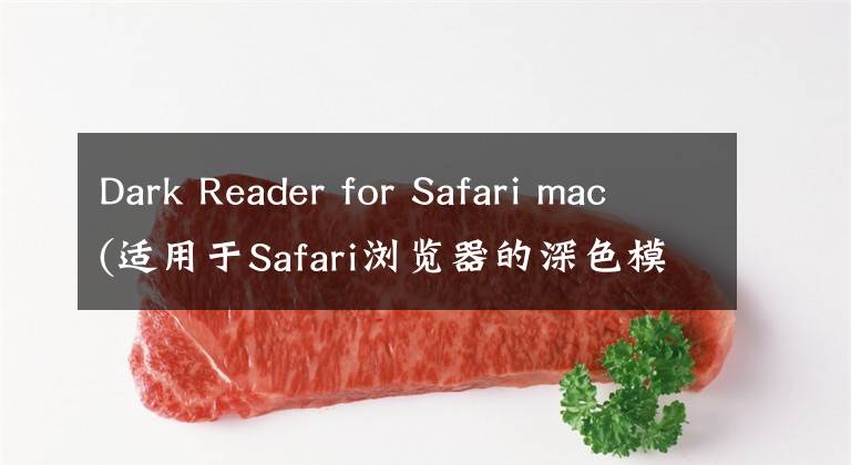 Dark Reader for Safari mac(适用于Safari浏览器的深色模式插件)文章配图