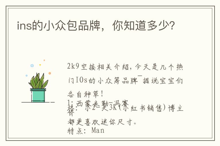 ins的小众包品牌，你知道多少？文章配图