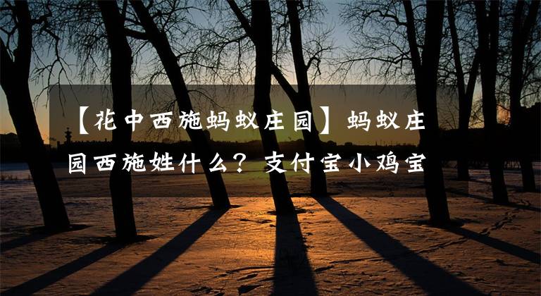 【花中西施蚂蚁庄园】蚂蚁庄园西施姓什么？支付宝小鸡宝宝考考你2020年10月27日答案