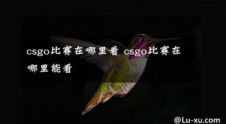 csgo比赛在哪里看 csgo比赛在哪里能看