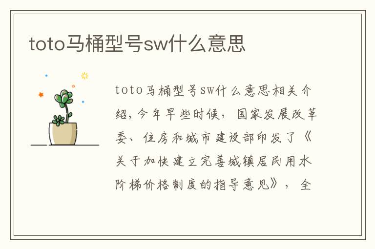 toto马桶型号sw什么意思