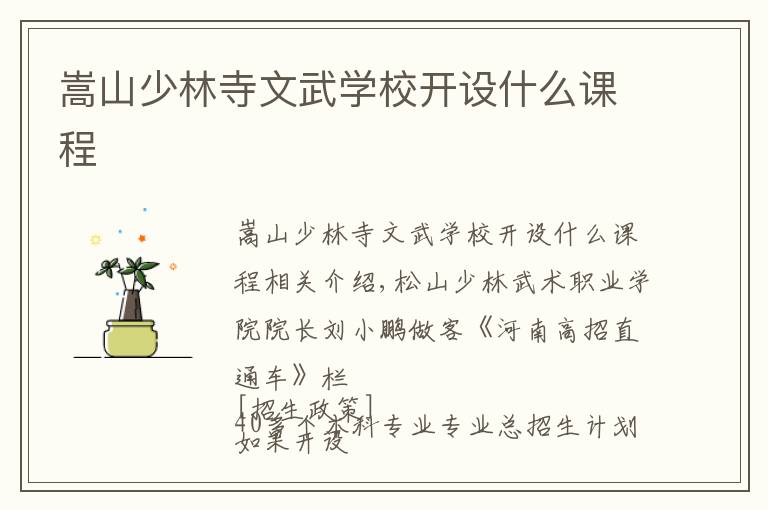 嵩山少林寺文武学校开设什么课程