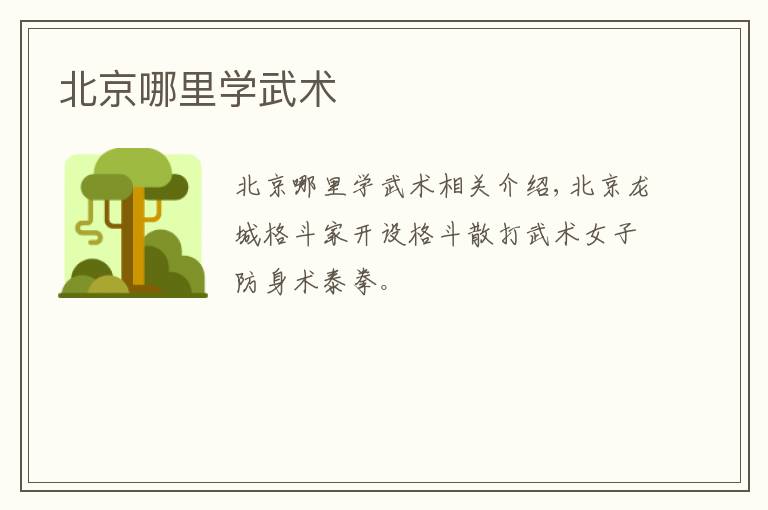 北京哪里学武术文章配图