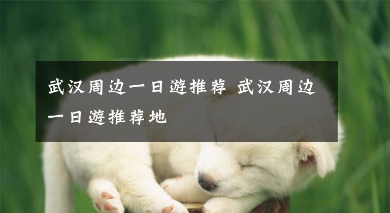 武汉周边一日游推荐 武汉周边一日游推荐地文章配图