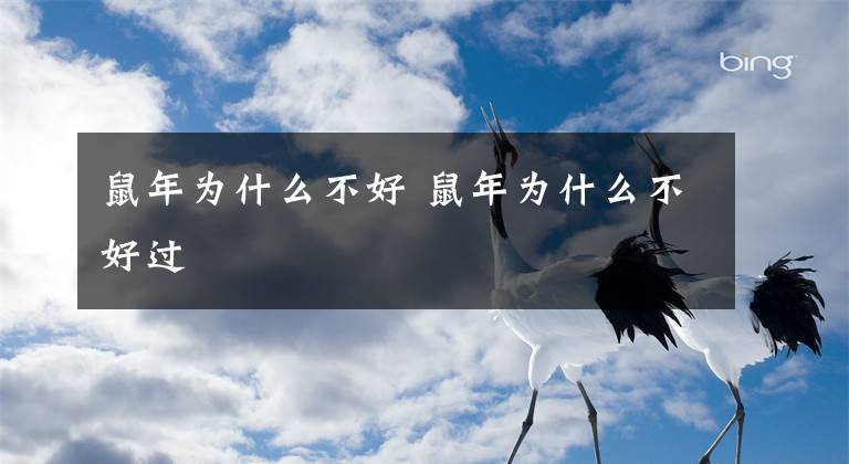 鼠年为什么不好 鼠年为什么不好过文章配图