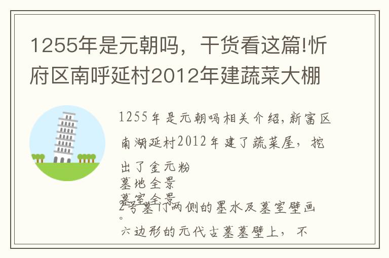 1255年是元朝吗，干货看这篇!忻府区南呼延村2012年建蔬菜大棚挖出金元古墓