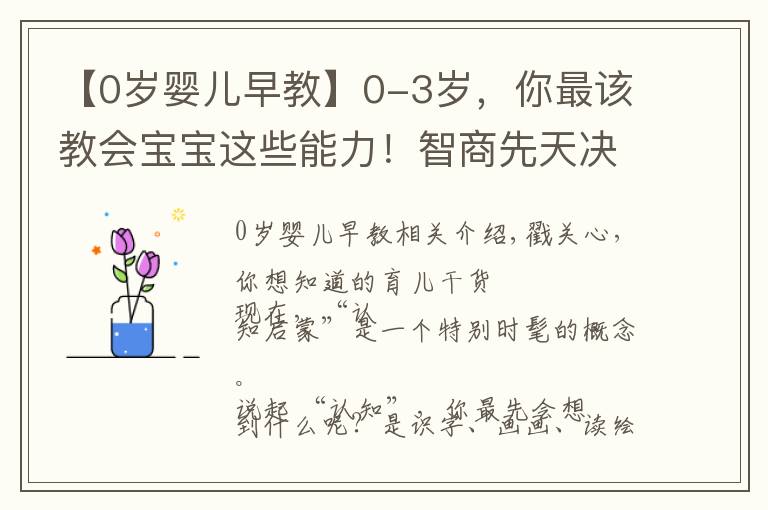 【0岁婴儿早教】0-3岁，你最该教会宝宝这些能力！智商先天决定但能提高认知力