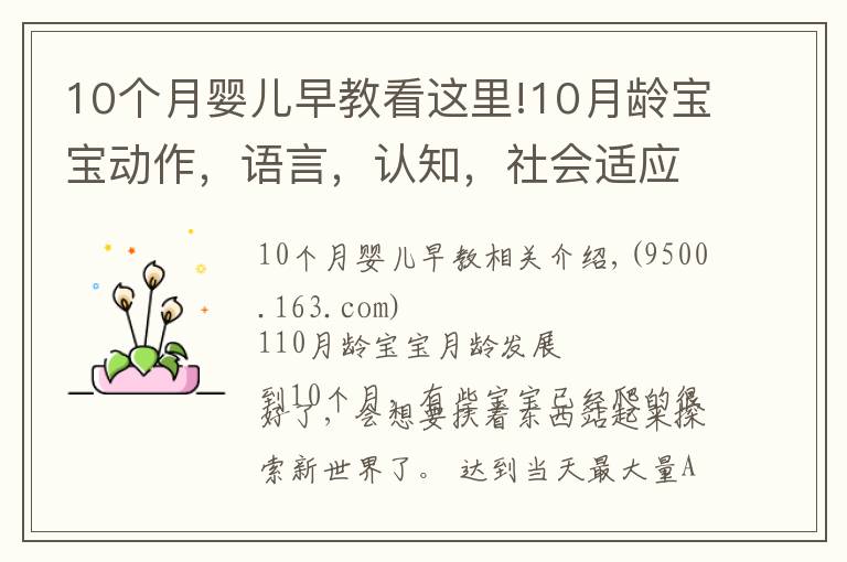 10个月婴儿早教看这里!10月龄宝宝动作，语言，认知，社会适应全面测评