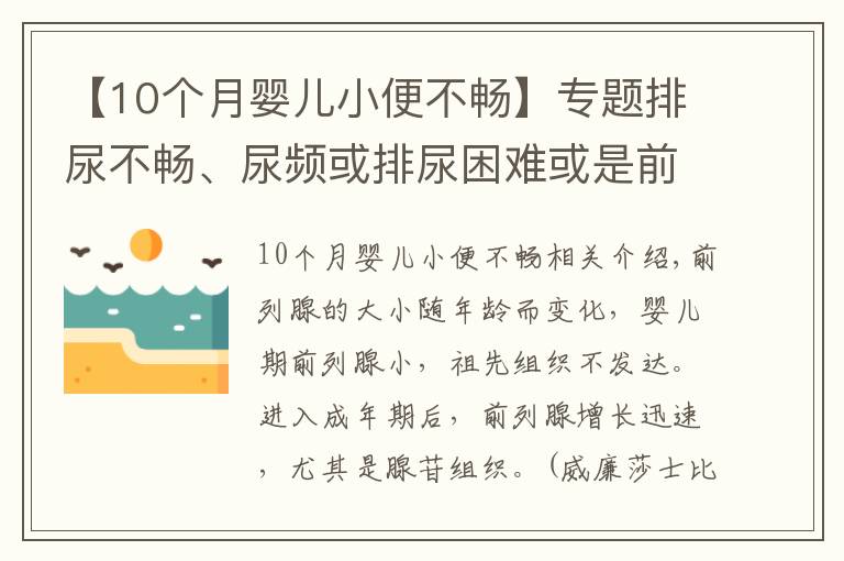 【10个月婴儿小便不畅】专题排尿不畅、尿频或排尿困难或是前列腺增生来袭？4个方法能诊断