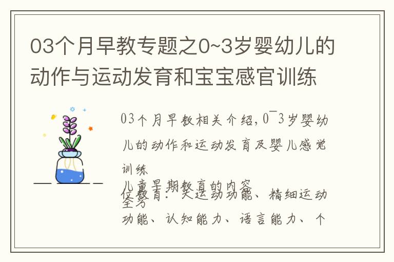 03个月早教专题之0~3岁婴幼儿的动作与运动发育和宝宝感官训练