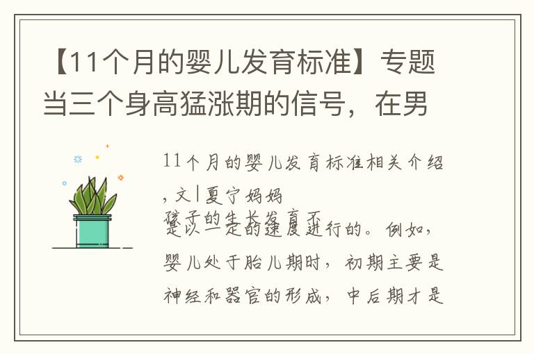 【11个月的婴儿发育标准】专题当三个身高猛涨期的信号，在男孩身上显现时，家长记住“7做到”