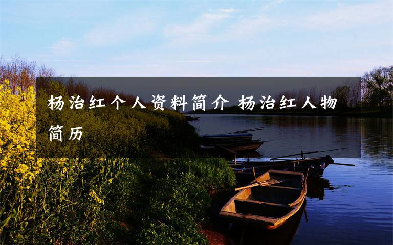 杨治红个人资料简介 杨治红人物简历文章配图