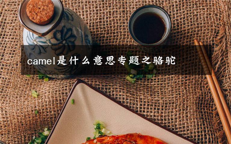 camel是什么意思专题之骆驼文章配图