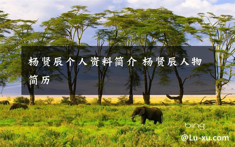 杨贤辰个人资料简介 杨贤辰人物简历文章配图
