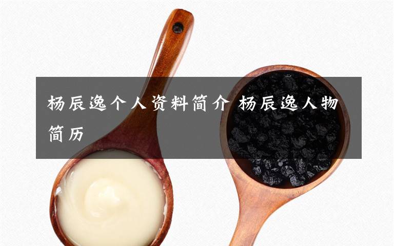 杨辰逸个人资料简介 杨辰逸人物简历文章配图