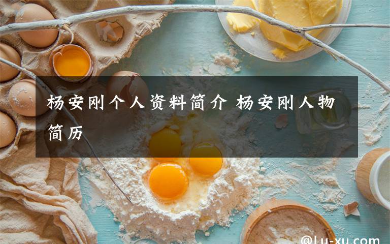 杨安刚个人资料简介 杨安刚人物简历