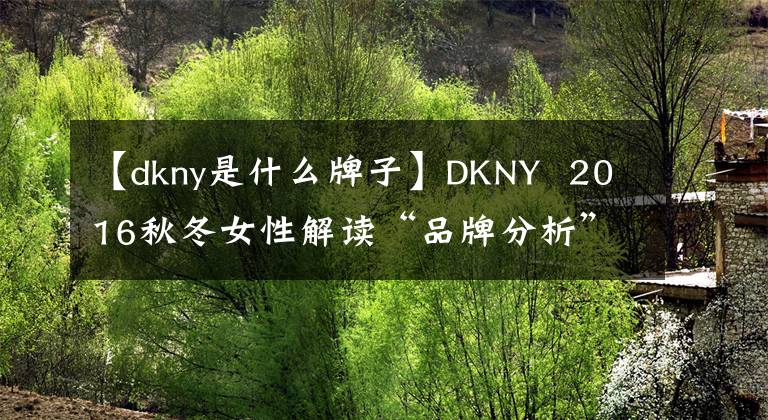 【dkny是什么牌子】DKNY  2016秋冬女性解读“品牌分析”