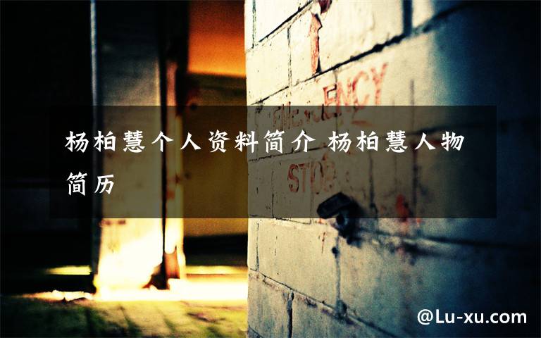 杨柏慧个人资料简介 杨柏慧人物简历文章配图