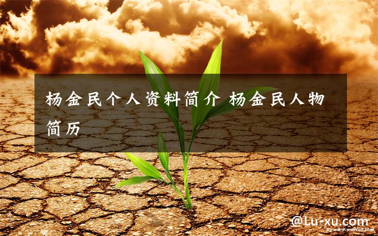 杨金民个人资料简介 杨金民人物简历文章配图