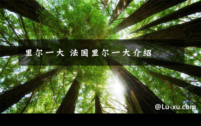 里尔一大 法国里尔一大介绍文章配图