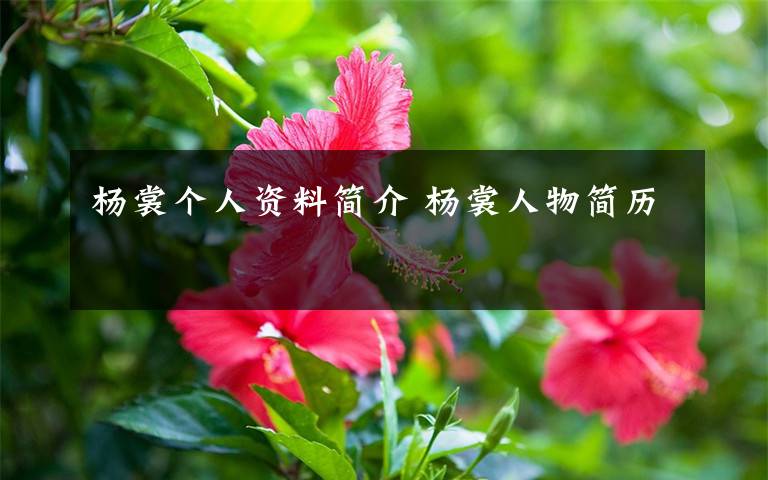 杨裳个人资料简介 杨裳人物简历文章配图