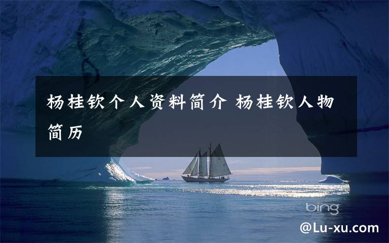 杨桂钦个人资料简介 杨桂钦人物简历文章配图
