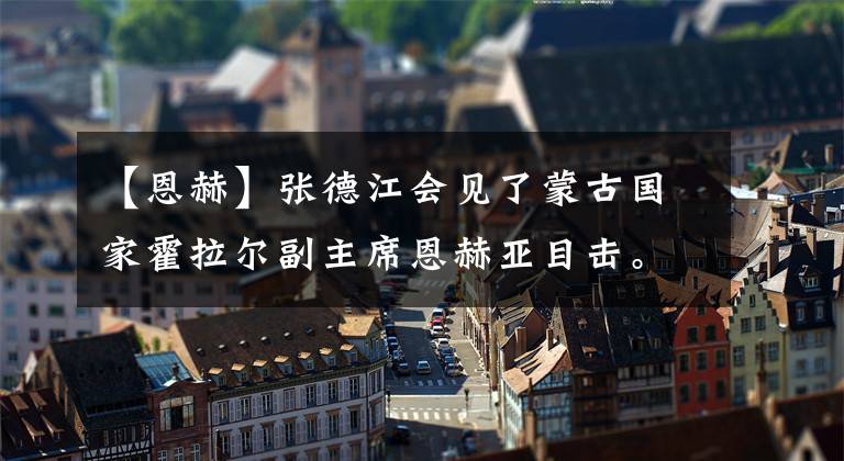 【恩赫】张德江会见了蒙古国家霍拉尔副主席恩赫亚目击。