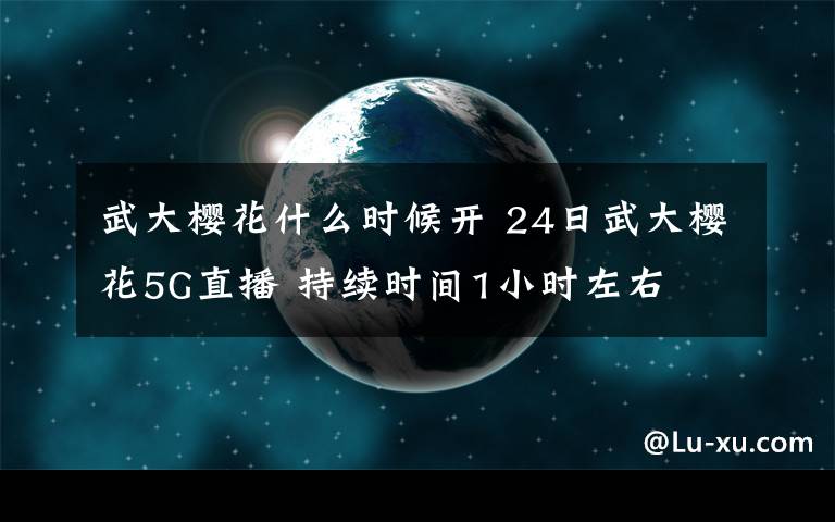 武大樱花什么时候开 24日武大樱花5G直播 持续时间1小时左右