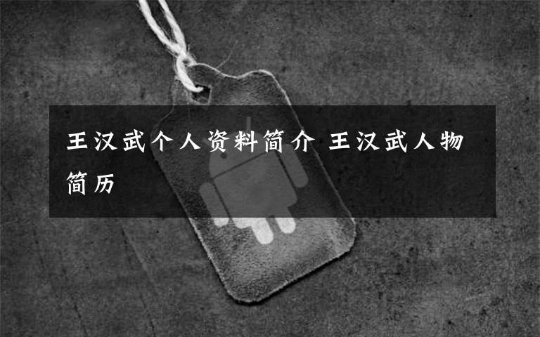 王汉武个人资料简介 王汉武人物简历文章配图
