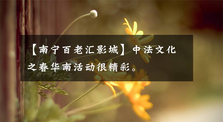 【南宁百老汇影城】中法文化之春华南活动很精彩。文章配图