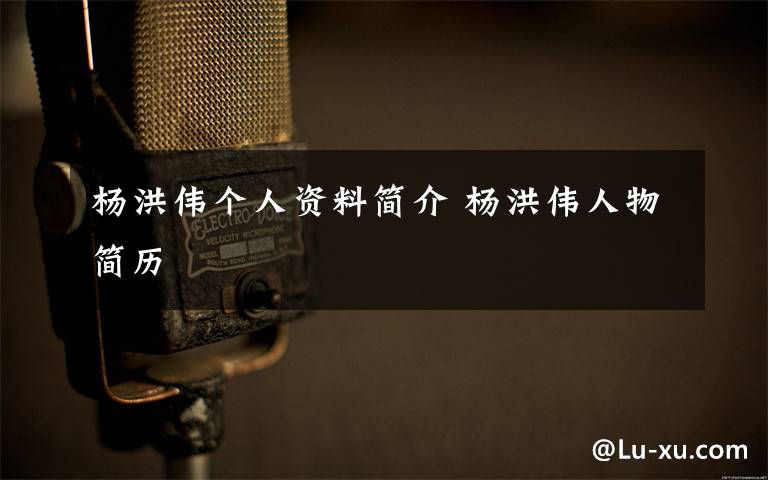 杨洪伟个人资料简介 杨洪伟人物简历文章配图