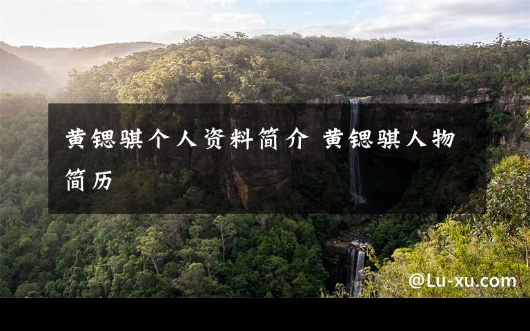 黄锶骐个人资料简介 黄锶骐人物简历文章配图